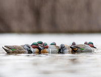 RigEm Right Mainline Greenwing Teal Decoys 12 Pack